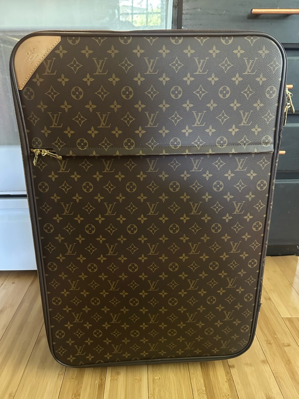 Louis Vuitton Monogram Pégase 65 luggage
